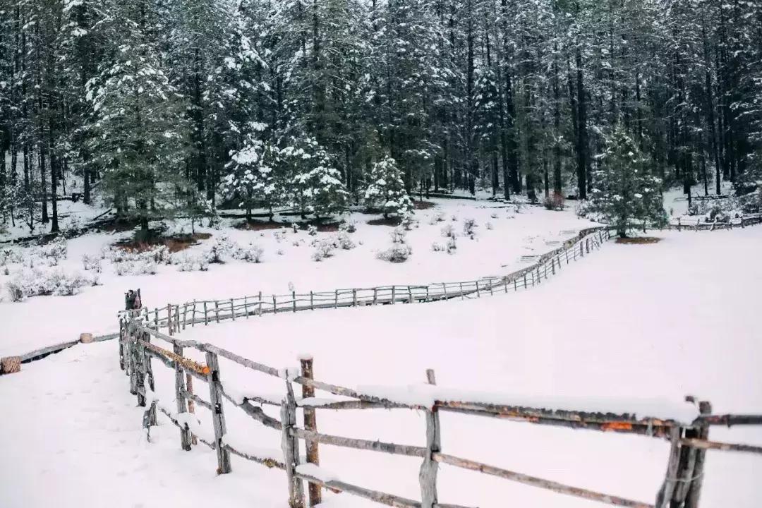 比雪山古城更诗意的是丽江的生活日常，只去一次怎么够