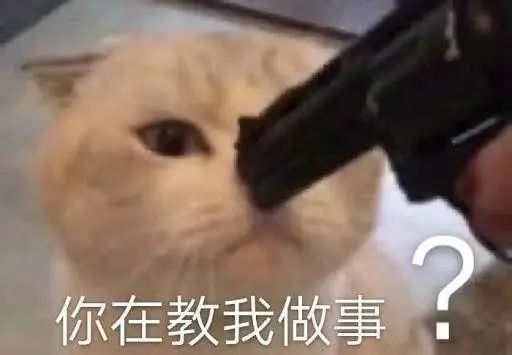 福建中药片仔癀,国产最好的药片仔癀