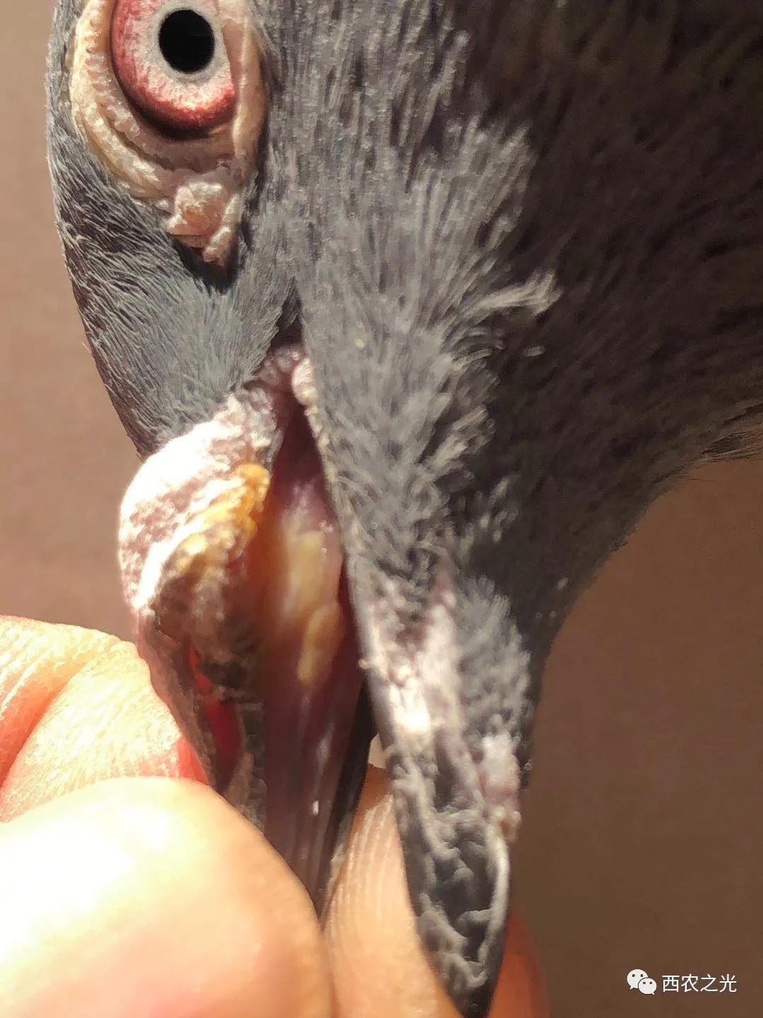 一周表现反馈表,一周典型经典案例分析