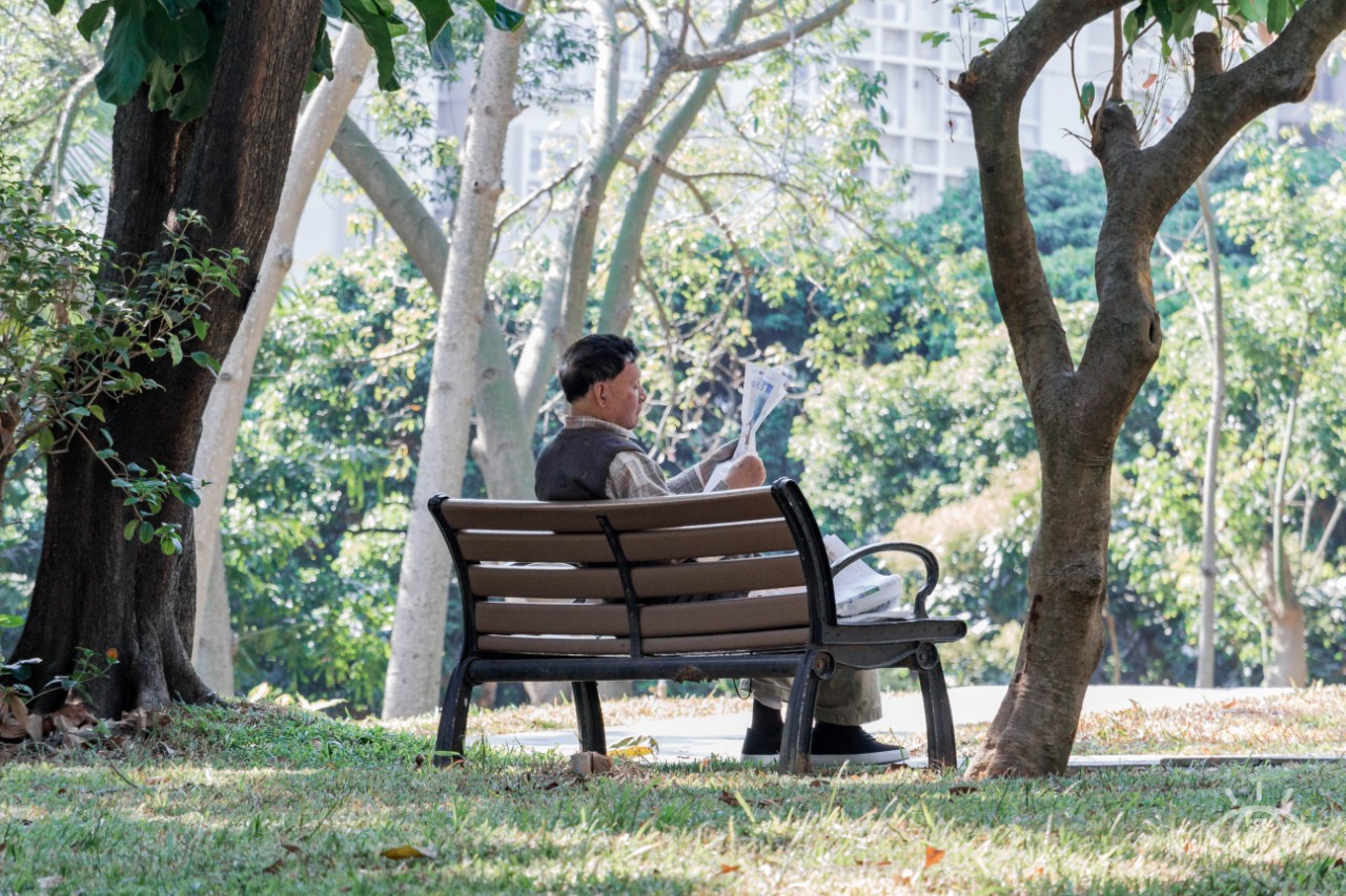 深圳十大顶级公园,深圳市十大风景公园排名