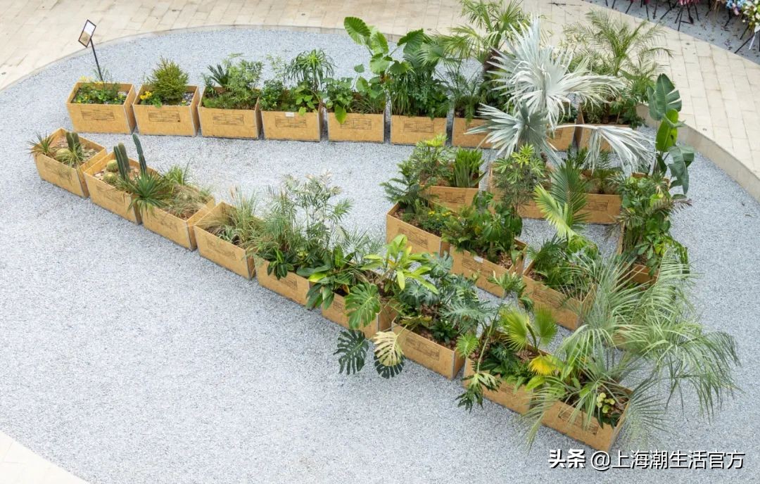 时髦精都在逛的hAomArket好市，一站式承包你的冬日小众好物