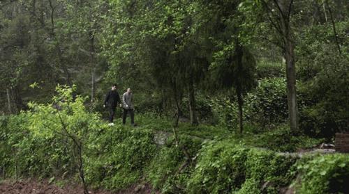 武大师兄弟复活湘西秘境，1块钱就能入股