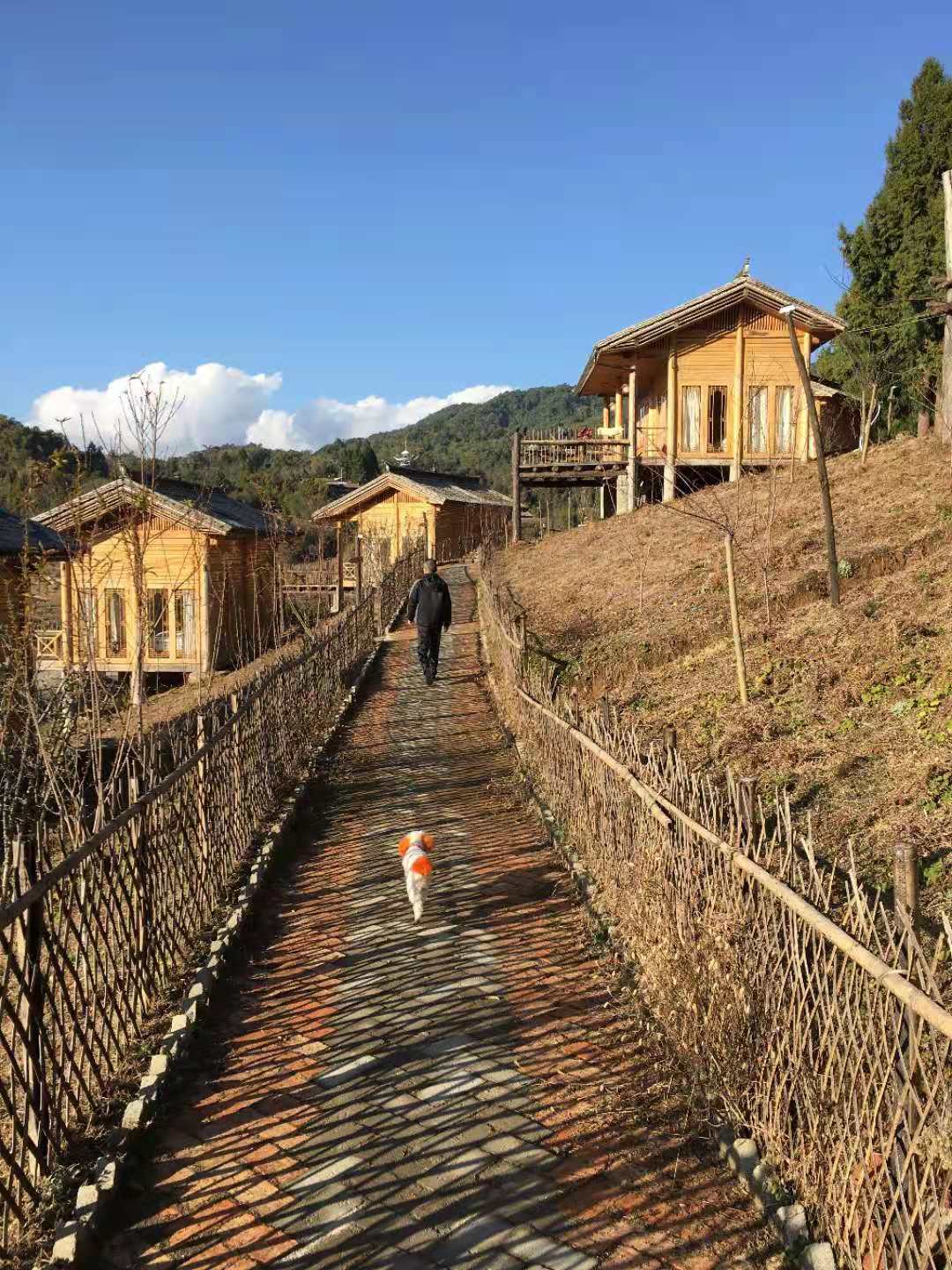 云南瑞丽腾冲离缅甸有多远,瑞丽与腾冲地理位置