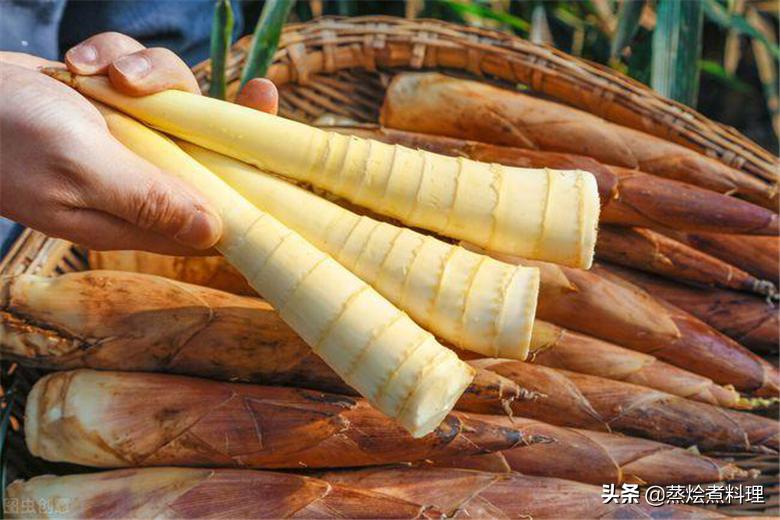 春笋的10种常见做法视频,春笋正当季春笋最好吃的三种做法