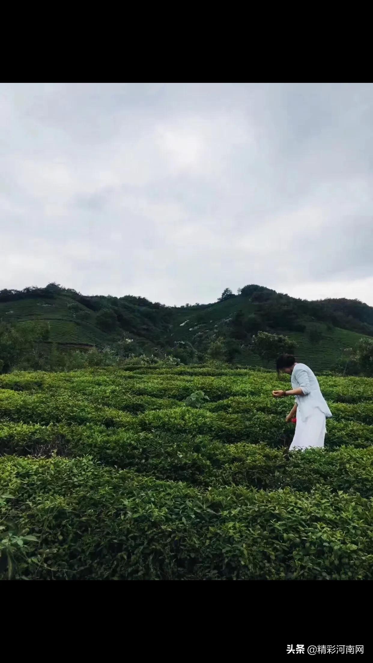 妙婵自叹,妙婵讲普通话