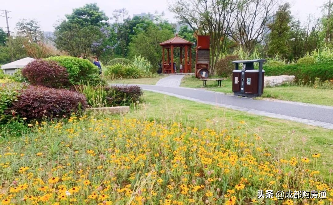 拿地楼面价6700卖23000,拿地楼面价1000卖9500一平正常吗