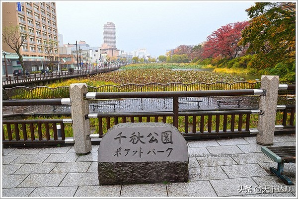 日本秋田县三大特产,秋田县