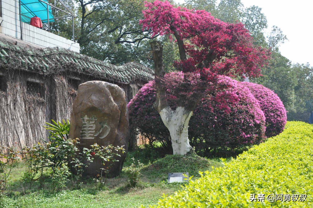 长沙市雅礼洋湖实验中学,长沙雅礼4大名校