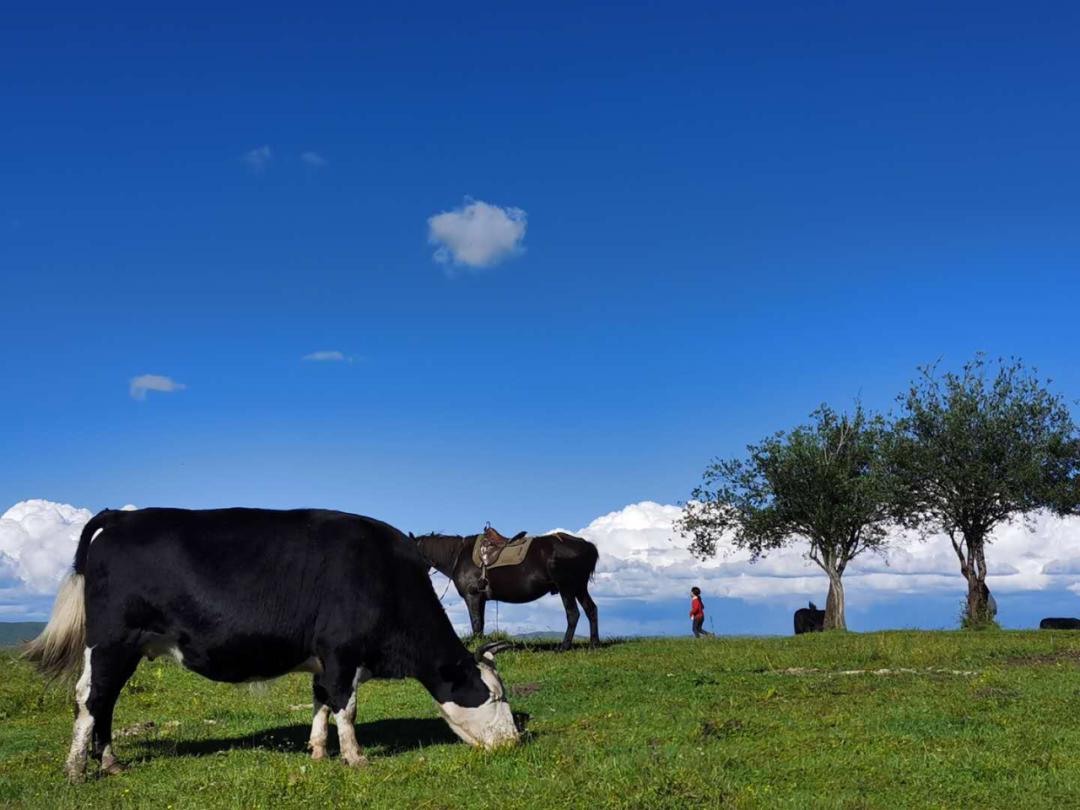 红原重走长征路,云上重走长征爬雪山