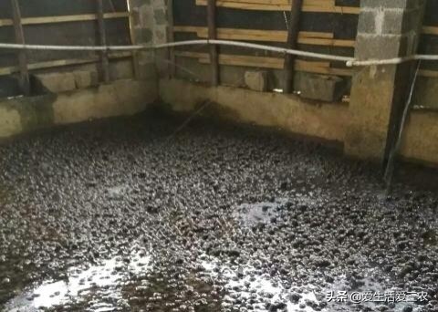 效益高收益稳定的养殖项目有哪些,有什么投资小收益高的养殖项目