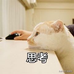 英国利物浦住宿攻略,英国留学住宿费用一览表