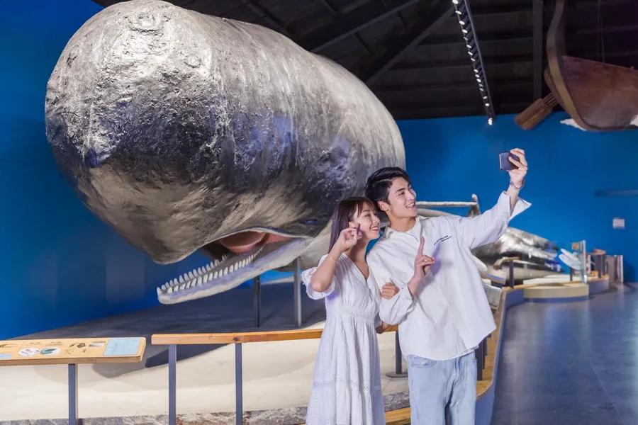 闈掑矝鏃呮父缃戠孩缇庨鎵撳崱鎺ㄨ崘,娴锋磱鍔ㄧ墿娴峰簳涓栫晫鎵撳崱