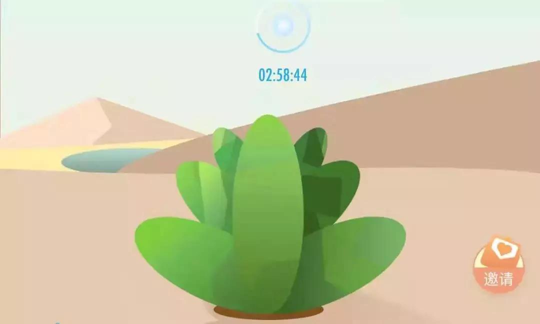 “绿洲”刷屏朋友圈的背后，新浪究竟下了怎样一盘大棋？