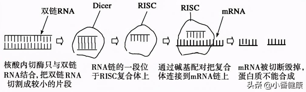 2021乙肝在研新药临床,2019乙肝在研新药进展及成果