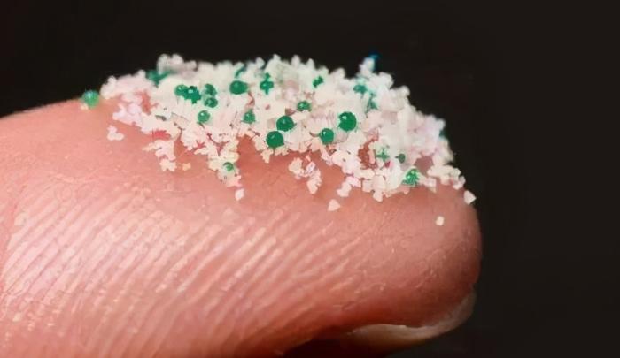 人类胚胎发现塑料,人类胎盘发现微塑料