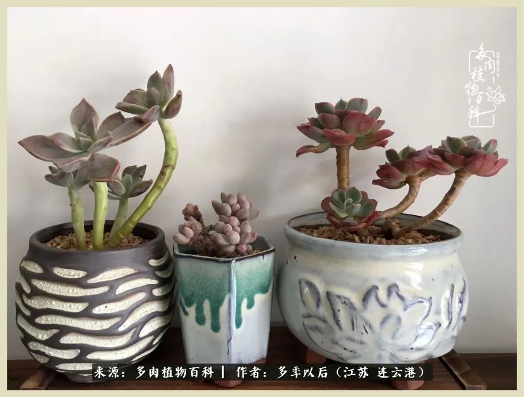 多去花前谈以后，少来月下忆当年