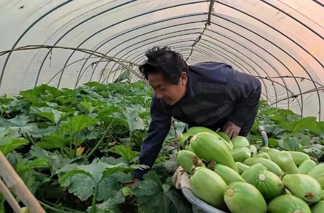 3万左右适合农村创业的项目,农村利润好的10个冷门创业项目