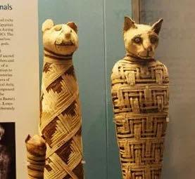 世界历史上的著名猫奴,世界三大猫奴