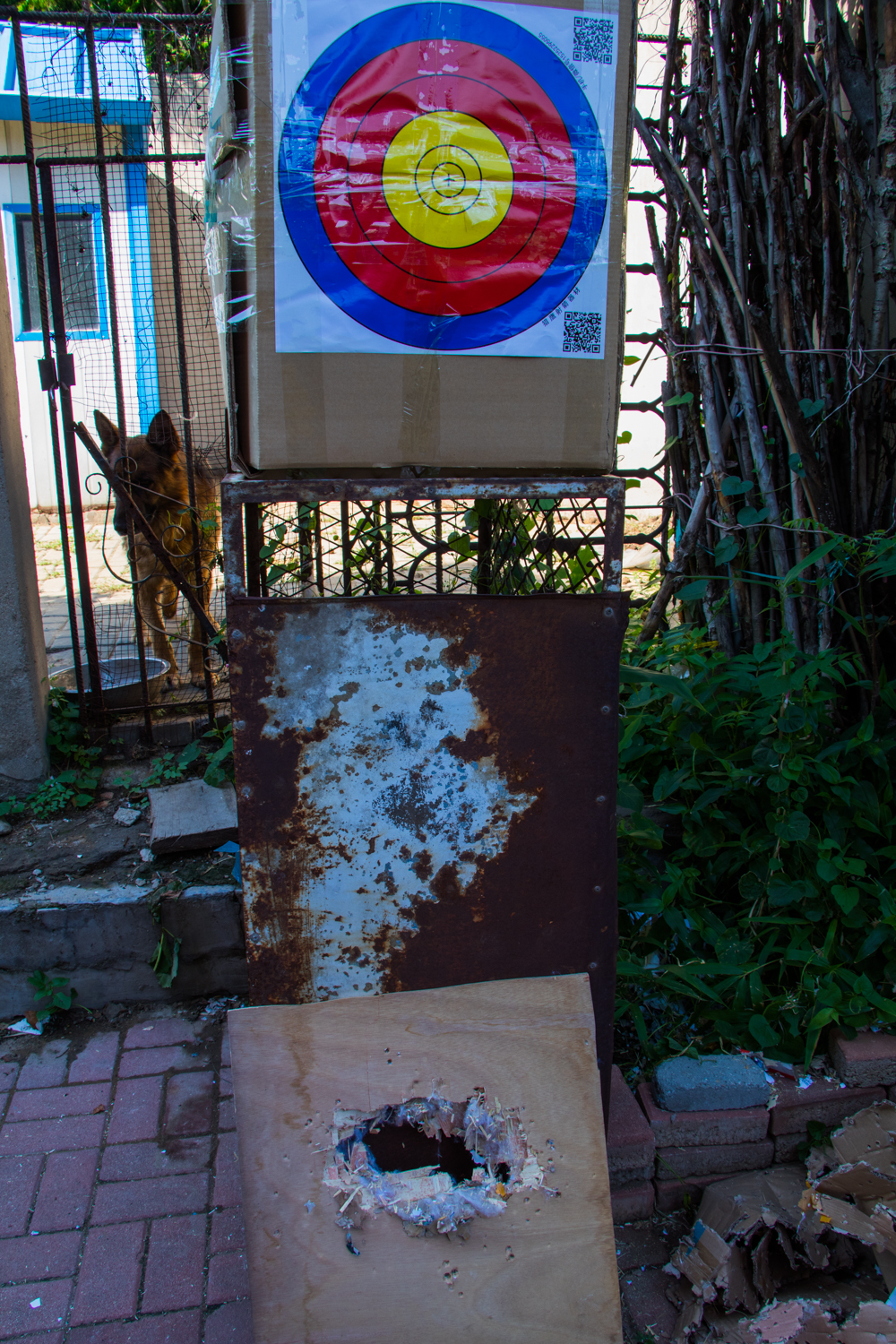 现代复合弓拿什么拉箭,话说现代