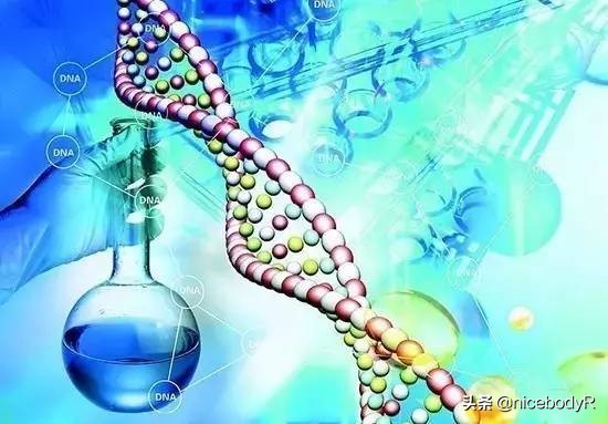 锻炼蛋白粉什么时间喝效果最好,如何知道健身自己喝蛋白粉有效果