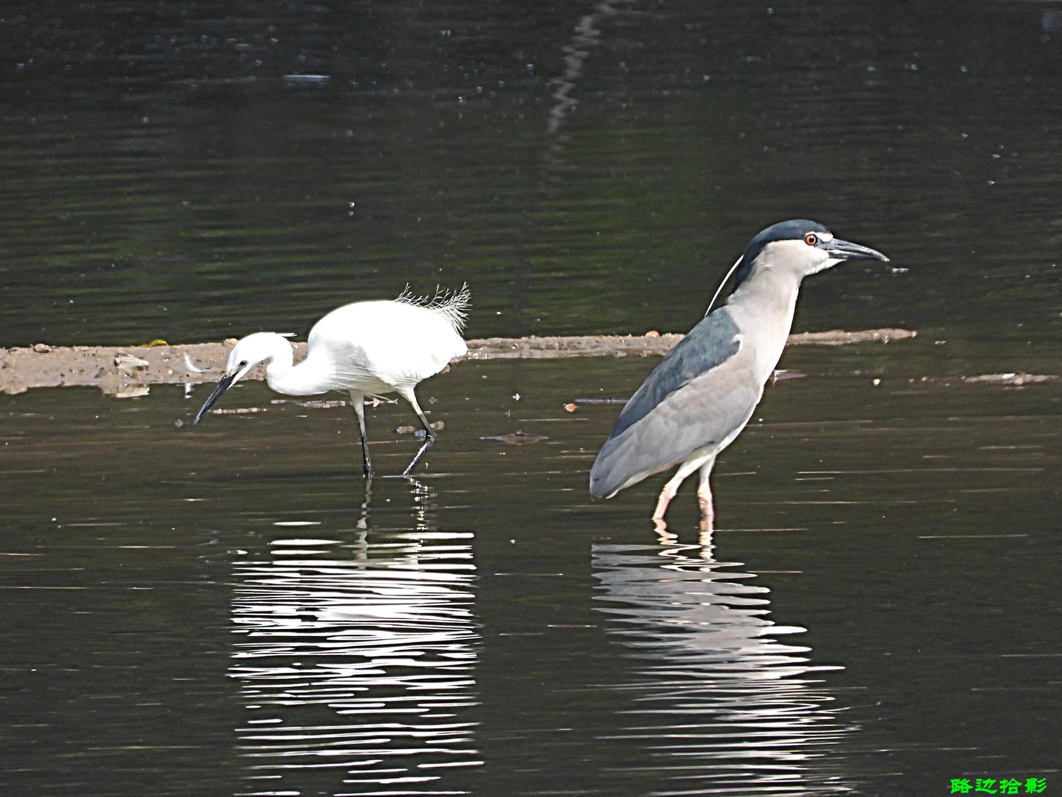 广州莲花山景点,岭南莲花山全景