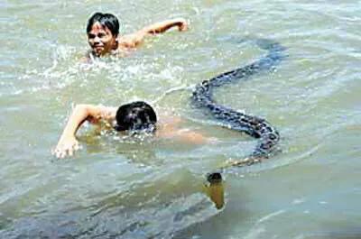 学游泳要不要游泳圈,学校为什么不提倡学游泳