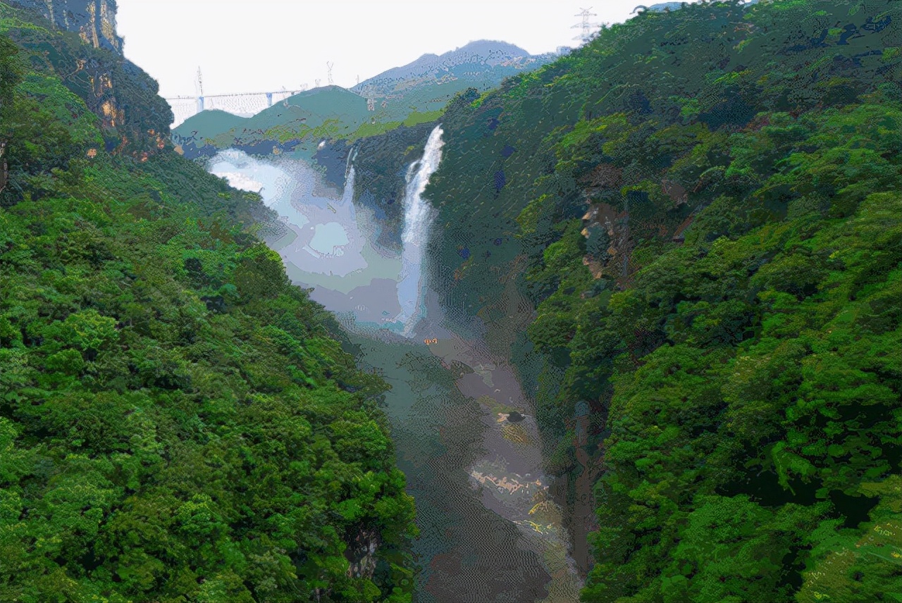 许志安和韩红接吻图片,韩红喜欢过栾树