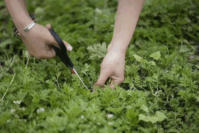 399元无边泳池,无边泳池抖音优惠团购