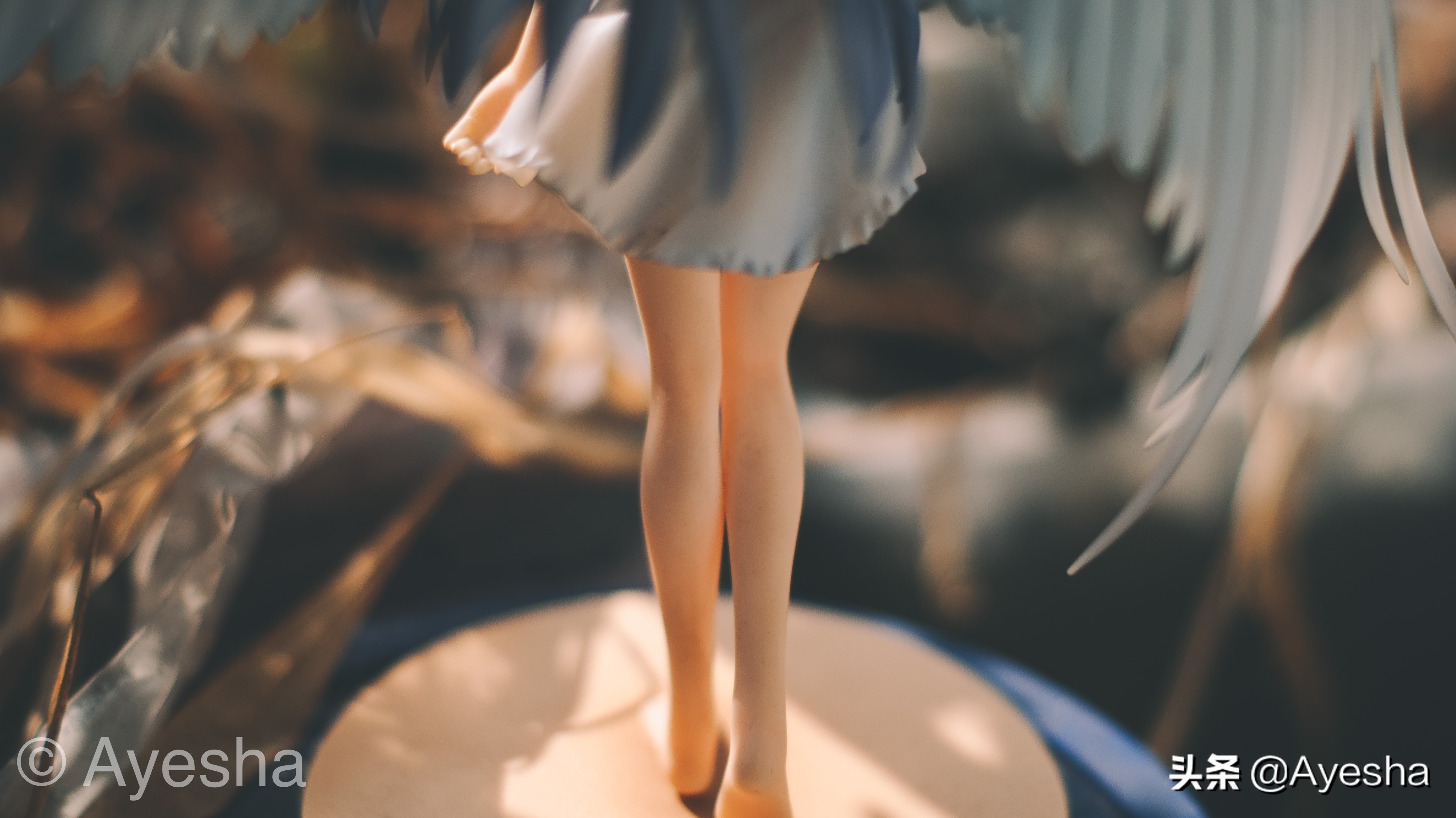 想学摄影师傅怎么学,我想学摄影大概多少钱