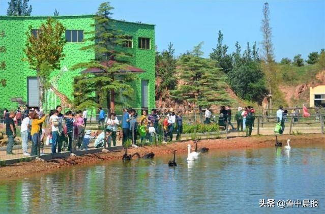 潍坊金宝乐园一日游价格,潍坊金宝乐园旅游攻略