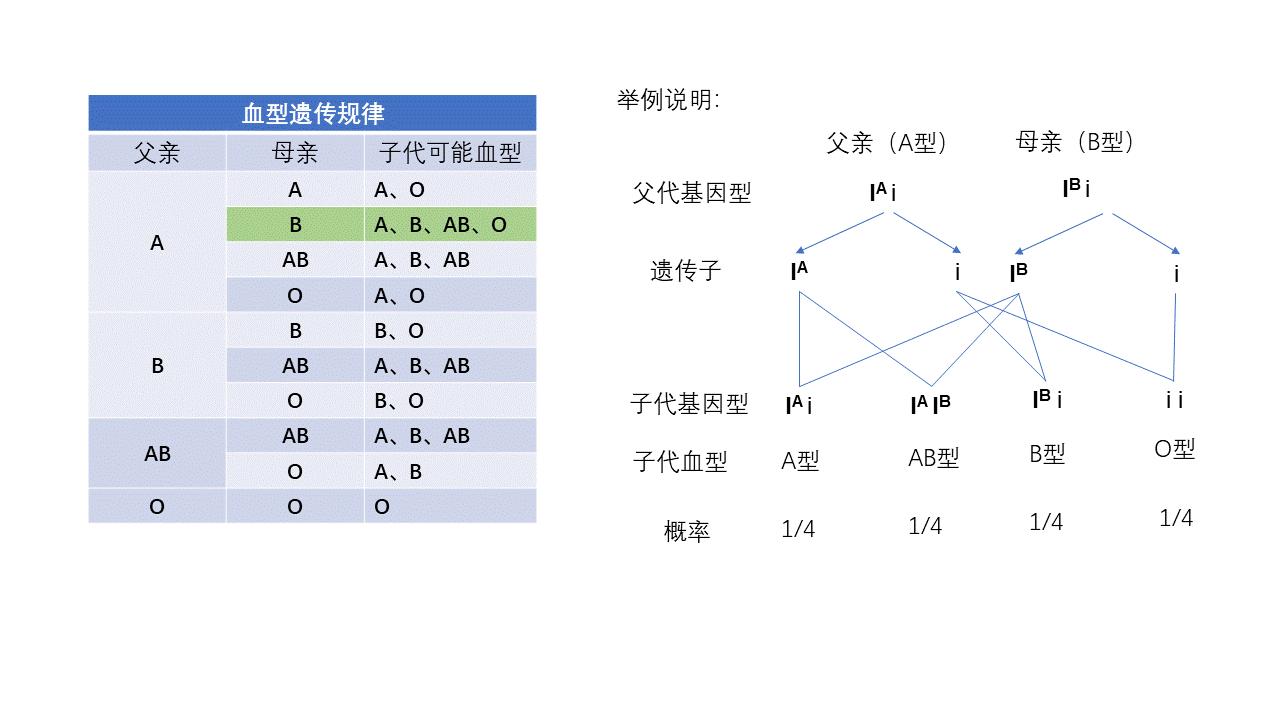 父母血型与孩子血型对照表是什么,如何通过父母血型预测子女血型