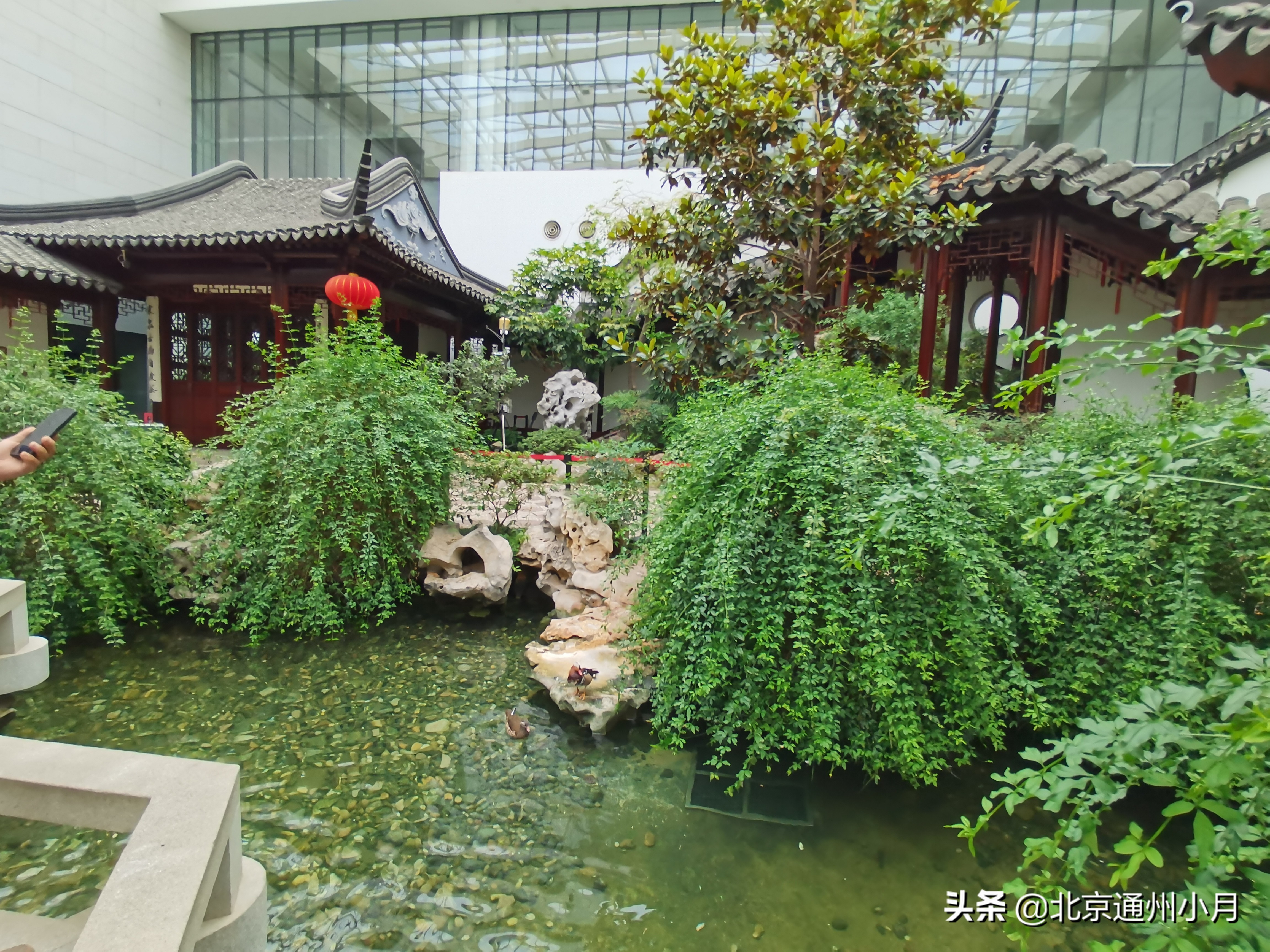 北京适合遛娃的公园,北京户外遛娃好去处冬天