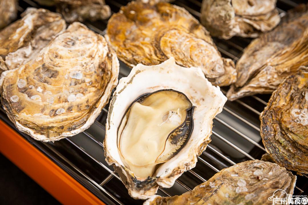 顺德首个集装箱「凤旨宵HEA」5.1揭幕！来凤城食都打卡100款美食