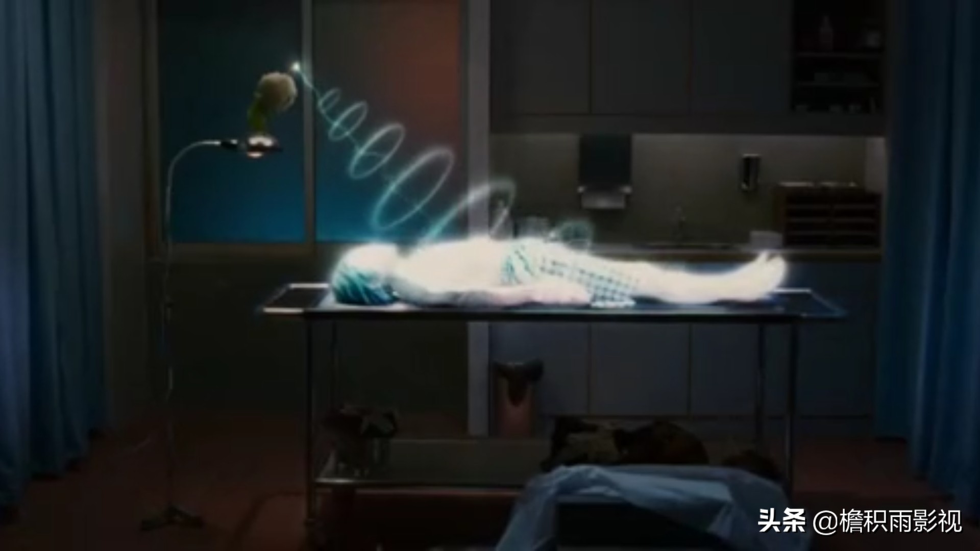 长江7号外星人叫什么,长江七号和疯狂的外星人哪个好