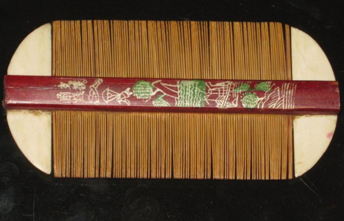 30年前人人身上都有的虱子,30年前人人都有虱子为啥现在消失