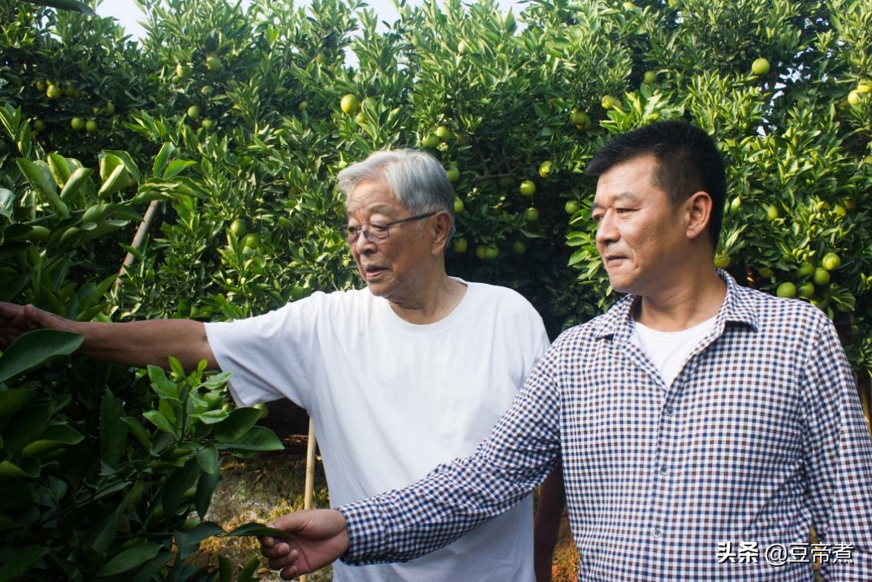 它140年前被洋人拿走，多年后卖到中国，却已成为“贵族水果”