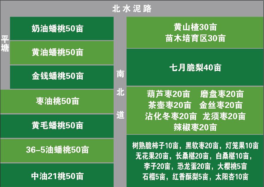 山水望城，“桃”醉你我，通体洁白、如羊脂玉般的蜜桃您见过吗？