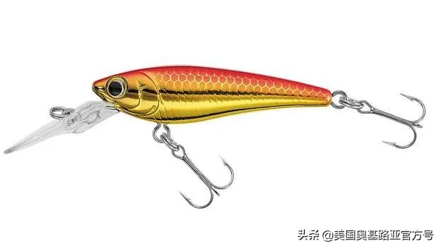 全国各地渔具展,全国渔具展2024