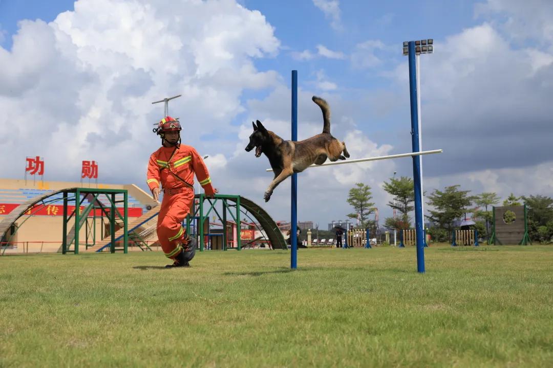火热开赛！看看满屏的邕城“蓝友力”