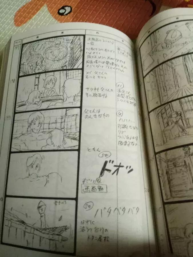 龙猫最久能活多久,龙猫30秒