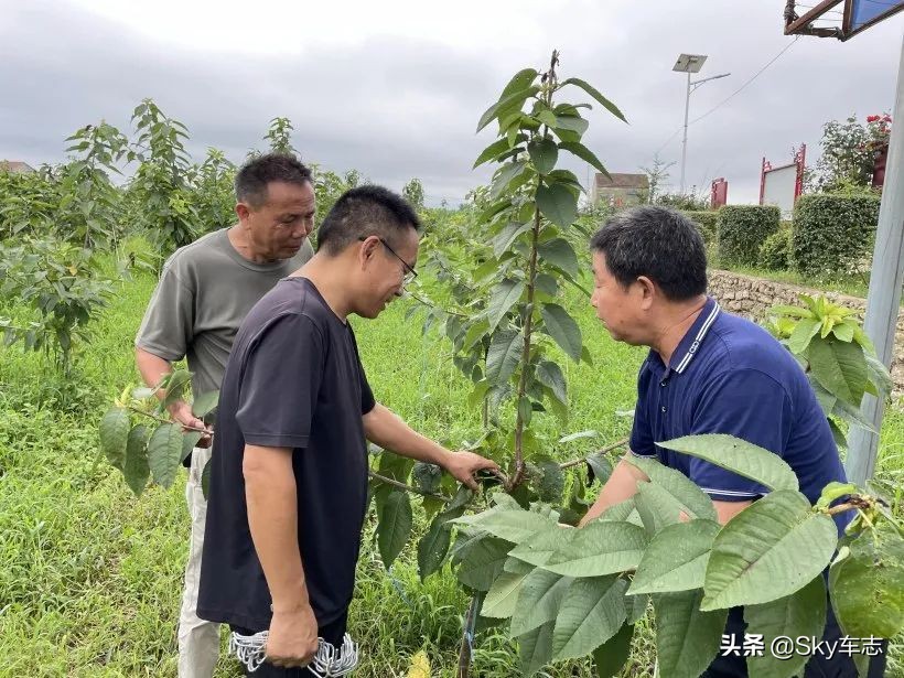 7天3000公里,宝马x57000公里发现烧机油