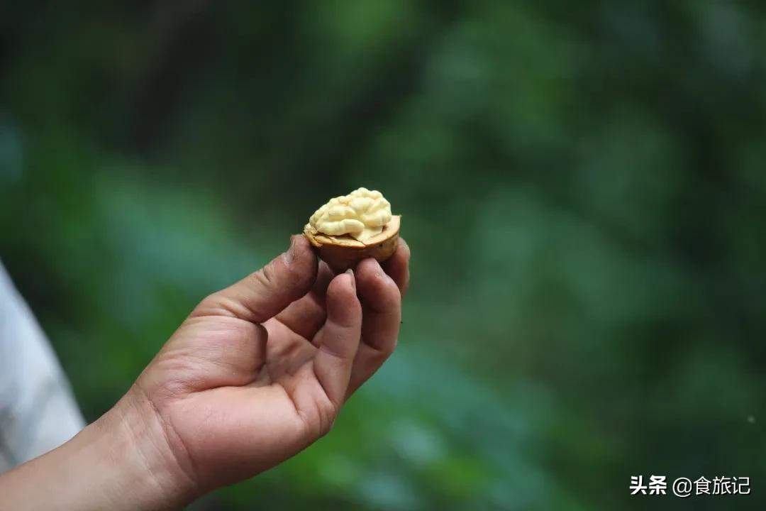 大凉山自然成熟的绿皮核桃,大凉山去青皮鲜核桃果肉饱满