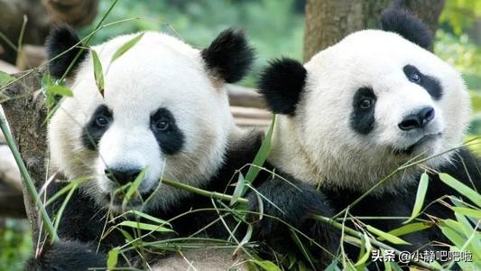 你不知道的国家冷知识捷克,你不知道的国家冷知识立陶宛