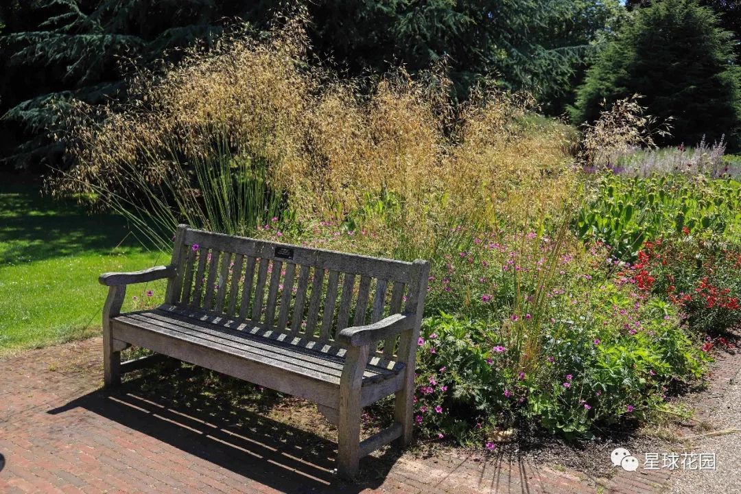 二木带你游花园|邱园（kewgarden）离我们到底有多远？