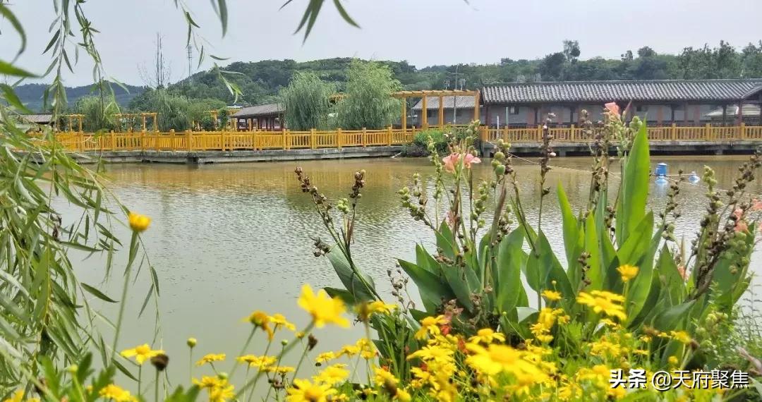 仁寿夏季旅游景区,2020仁寿旅游