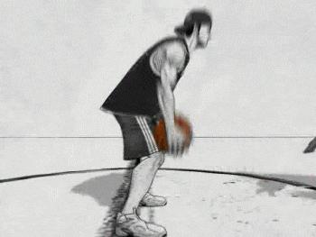 这只鹦鹉一直以为他是一只猴，所以每天都在重复做这个动作