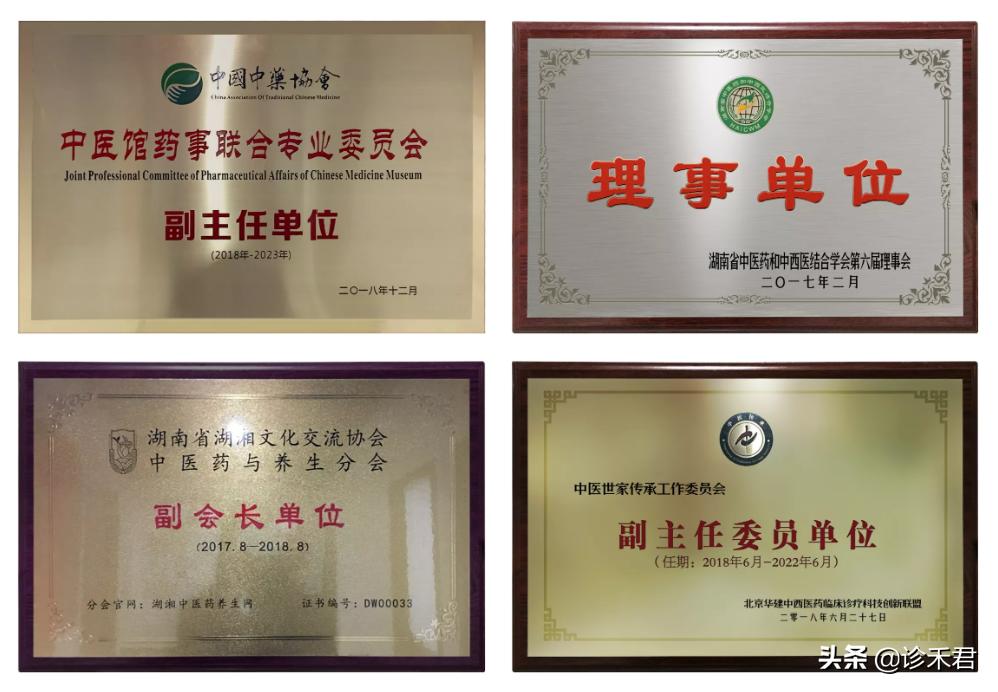 诊禾医疗公司有哪些,湖南诊禾医疗