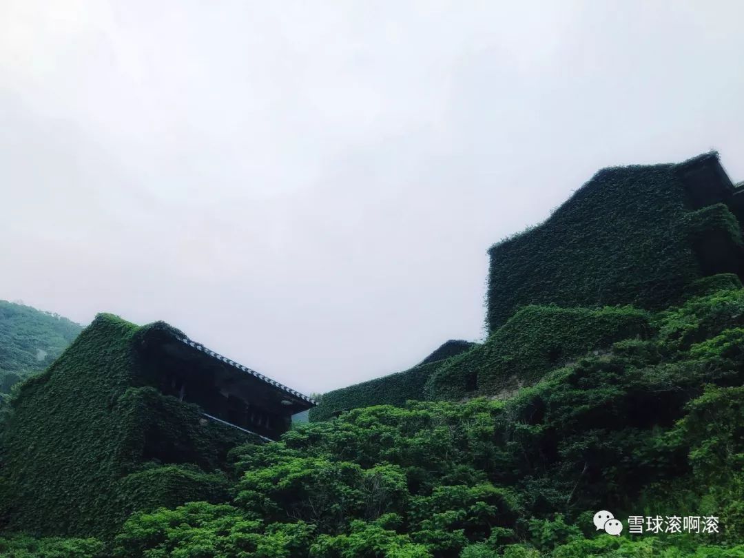 枸杞岛——六壮士崩溃之旅