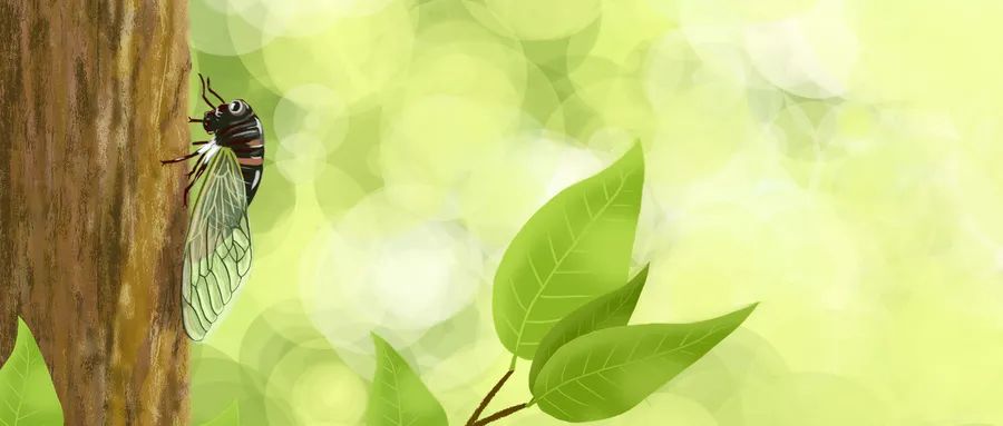 耳朵里总有声音在响长时间会好吗,耳朵响个不停有治疗的办法吗