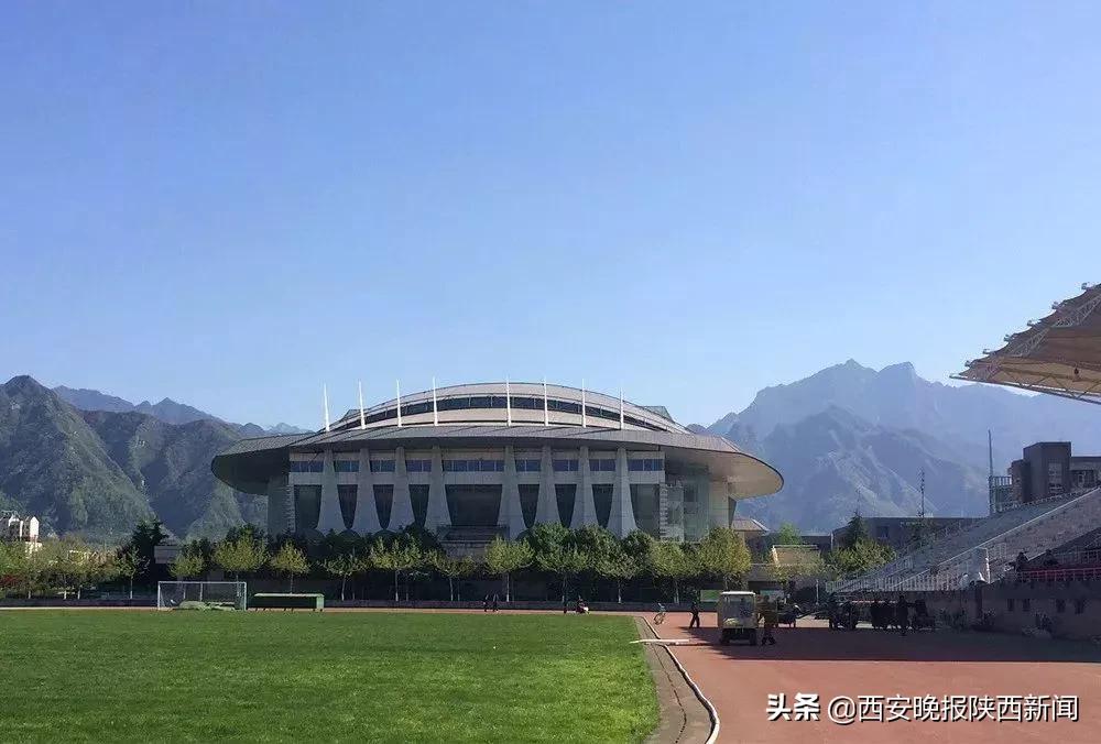 十四运会观赛,十四届运动会邮票珍藏